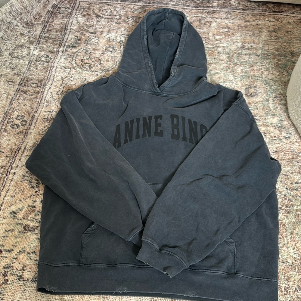Anine bing sport sweatshirt